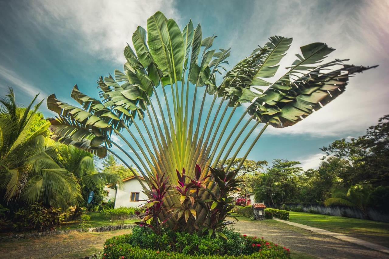 Hotel Santa Catalina Panama ภายนอก รูปภาพ